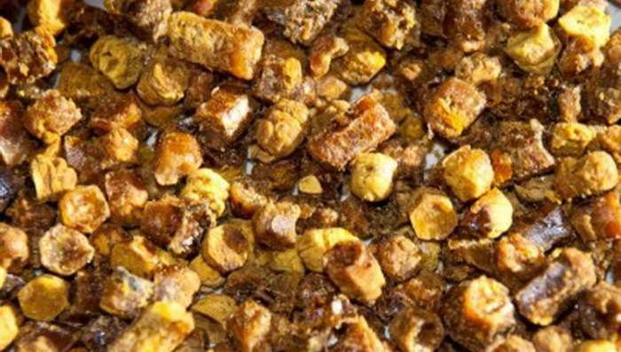 Perga je pčelinji hleb - fermentisani polen