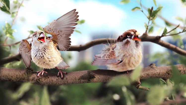 Ptičji napev Narodno imitiranje ptica govorom