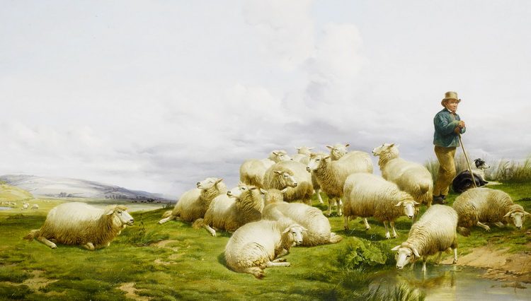 protestna pesma i slika Thomas Sidney Cooper - Pastir sa ovcama1868