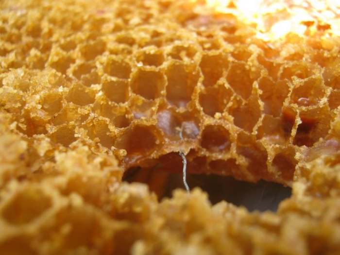 pčelinji vosak