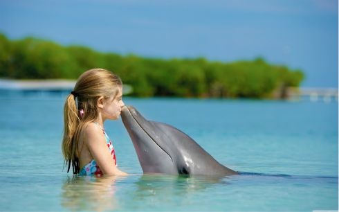 delfin poljubac