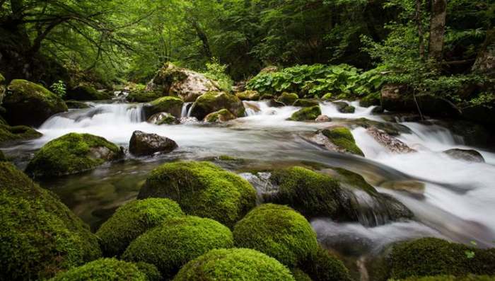 Reka Hrčavka Nacionalni Park Sutjeska kanjon