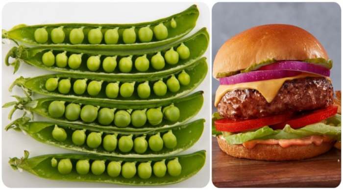 Beyond meat burger Moćni protein iz graška je sve popularniji u ishrani modernog čoveka