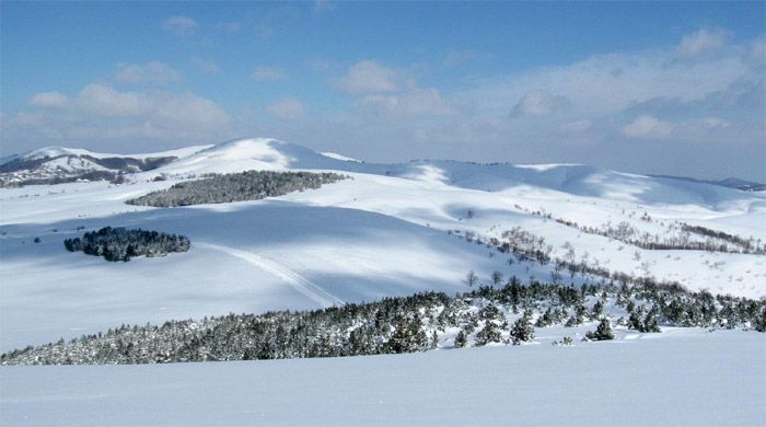 Zlatibor