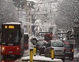 priča iz bg autobusa