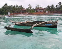 Plivanje sa delfinima na Zanzibaru 2020