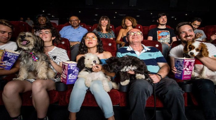 bioskop za pse