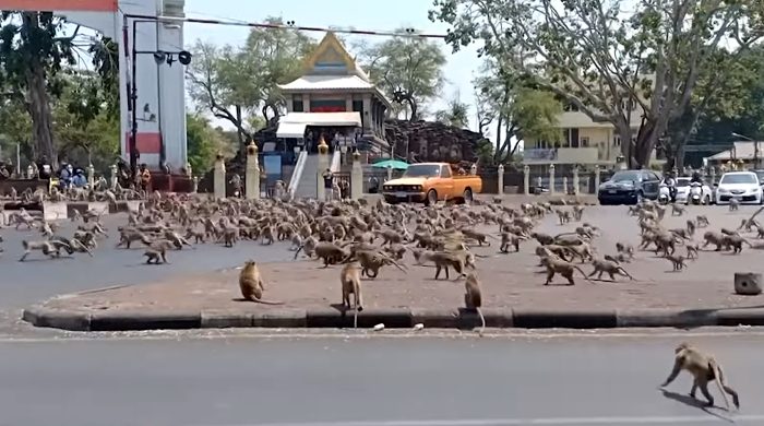 lopburi