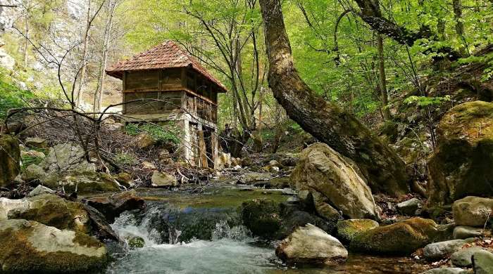 vodenica save savanovića